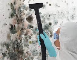 Best Air Quality Testing for Mold Spores in USA